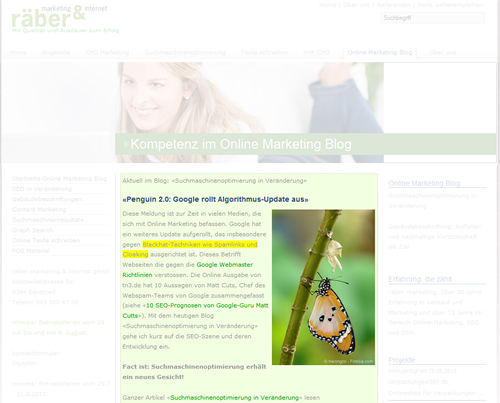 Beispiel Kompetenzvermittlung durch Online-Marketing-Blog.